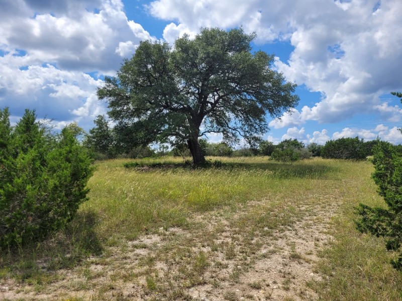 Pioneer Real Estate - Texas Hill Country