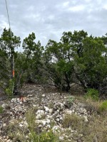Hill Country Real Estate