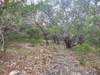 Hill Country Real Estate