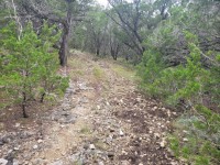 Hill Country Real Estate