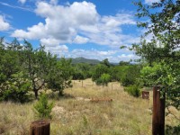 Hill Country Real Estate
