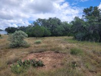 Hill Country Real Estate