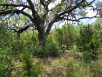 Hill Country Real Estate