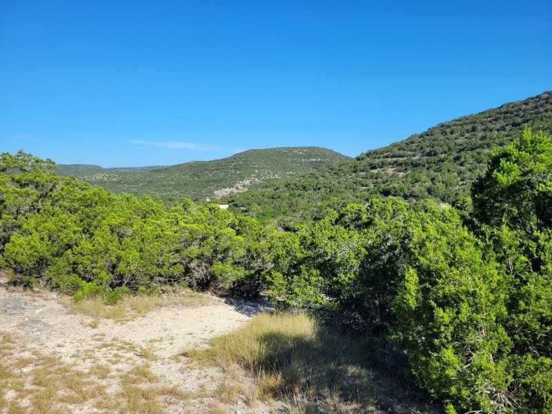 Pioneer Real Estate - Texas Hill Country