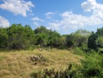 Pioneer Real Estate - Texas Hill Country Riverfront and River Access Properties