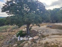 Texas Hill Country Real Estate