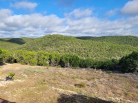 Texas Hill Country Real Estate
