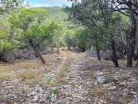 Texas Hill Country Real Estate