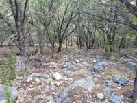 Texas Hill Country Real Estate