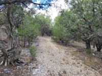 Texas Hill Country Real Estate