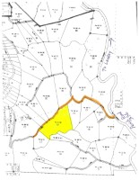 Texas Hill Country Real Estate